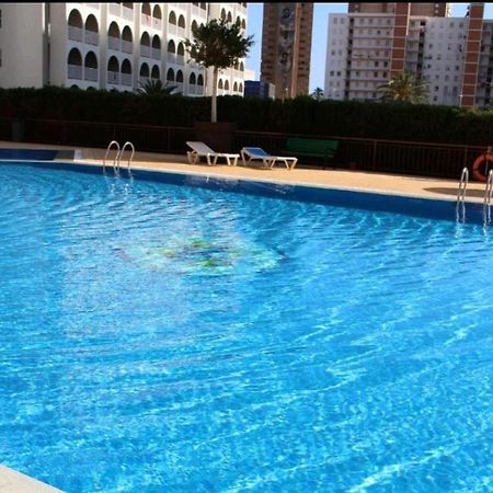 Acuarium Lux Daire Benidorm Dış mekan fotoğraf