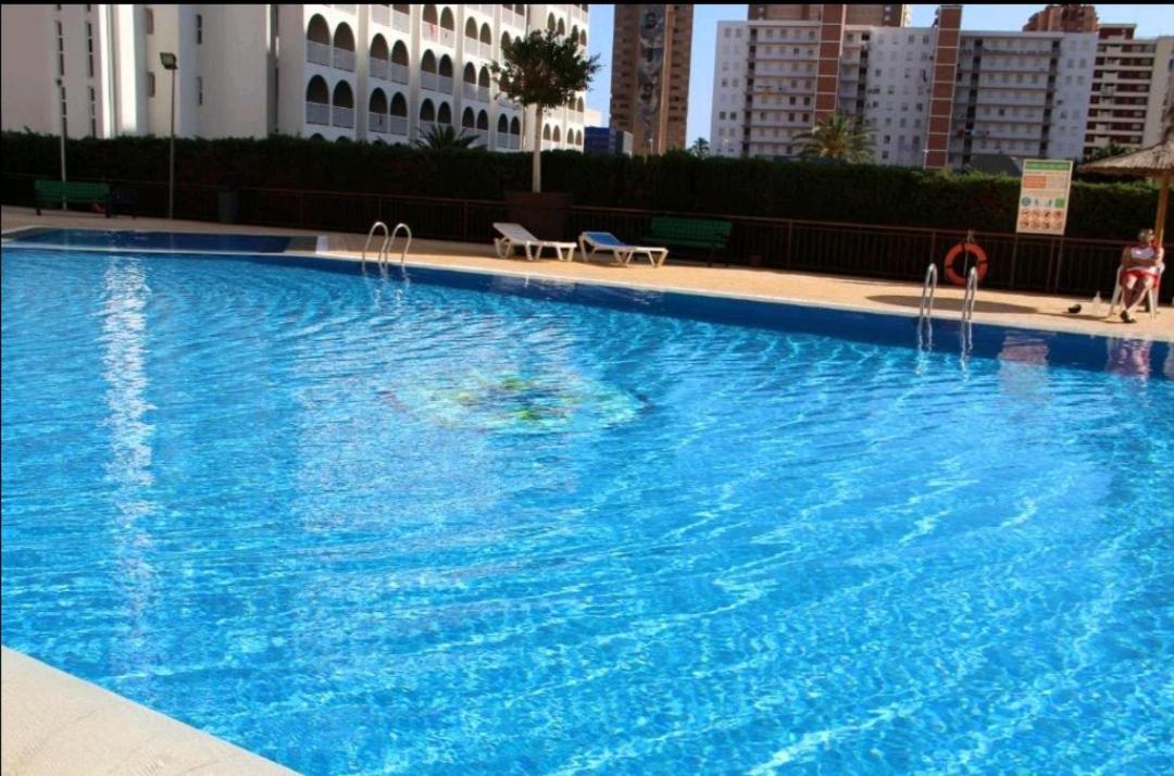 Acuarium Lux Daire Benidorm Dış mekan fotoğraf