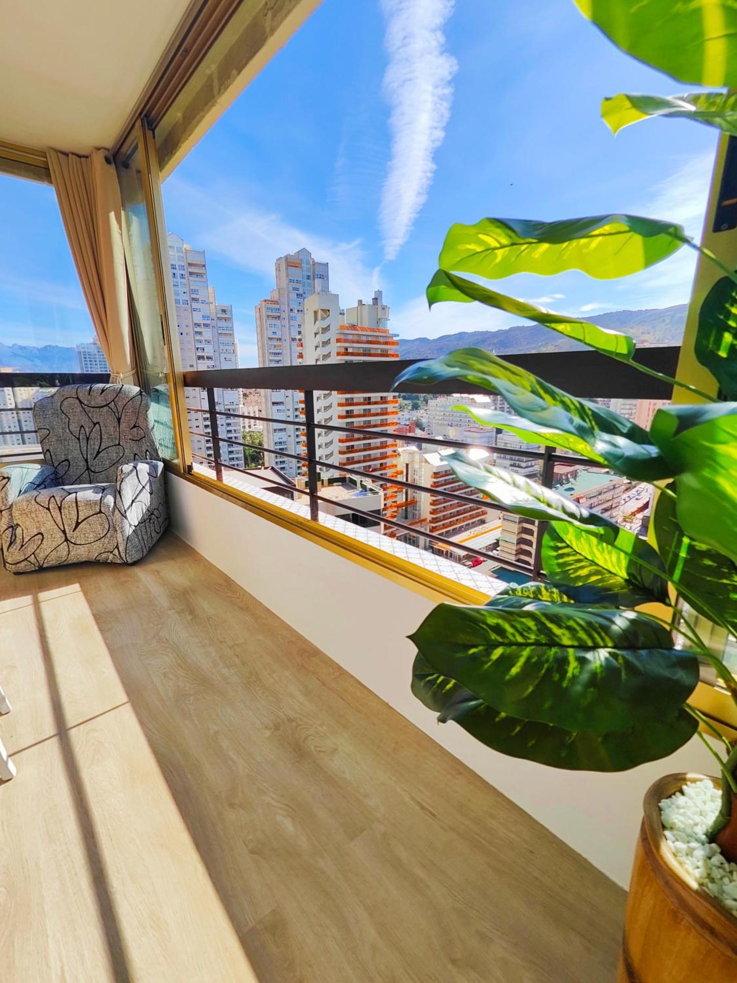 Acuarium Lux Daire Benidorm Dış mekan fotoğraf
