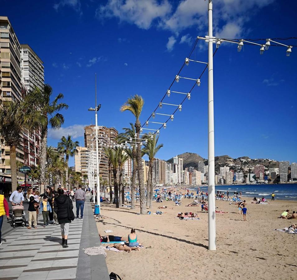 Acuarium Lux Daire Benidorm Dış mekan fotoğraf
